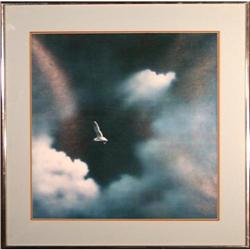 "Bird on Moonlight Flight" - Print #1657943