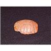 Image 1 : Neolithic jade carving of Hong Shan culture #1658651
