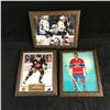 Image 1 : FRAMED HOCKEY PHOTO LOT