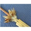 Image 7 : Spear w/ Swordfish Bill & Shark 's Teeth, 65" Long