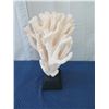 Image 5 : Large White Cat's Paw Natural Coral, Mounted on Base, 25" Tall