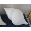 Image 2 : Qty 2 Large Seashells, Plaster-Like Material 31" L, 15"H