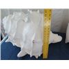 Image 10 : Qty 2 Large Seashells, Plaster-Like Material 30" L x 21"H