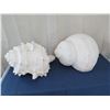 Image 1 : Qty 2 Large Seashells, Plaster-Like Material 30" L x 21"H