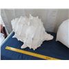 Image 8 : Qty 2 Large Seashells, Plaster-Like Material 30" L x 21"H