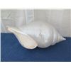 Image 1 : Qty 1 Large Silver-Tone Seashell, Plaster-Like Material31" L, 15"H