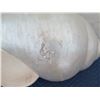 Image 2 : Qty 1 Large Silver-Tone Seashell, Plaster-Like Material31" L, 15"H