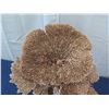 Image 2 : Large Brown/Gold Natural Coral, Plexi-Glass Base, 26"W x 26"H