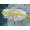 Image 1 : Very Large Authentic Natural Clam Shell (Half), 36" Wide