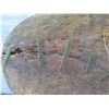 Image 17 : Very Large Pig Board or Poi Board, 32"x42"