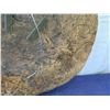 Image 18 : Very Large Pig Board or Poi Board, 32"x42"