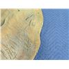 Image 8 : Very Large Pig Board or Poi Board, 32"x42"