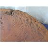 Image 9 : Very Large Pig Board or Poi Board, 32"x42"