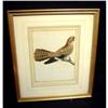 Image 1 : Antique Bird Print #1628355