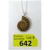 Image 1 : Ammonite Fossil Pendant on 18" Chain