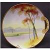 Image 1 : ANTIQUE HAND PAINTED PLATE - NIPPON #1617186