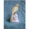 Image 1 : Porcelain  Canary made by Metzler & Ortloff #1618405