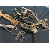 Image 3 : Nice Lot of Vintage/Antique Animal Traps