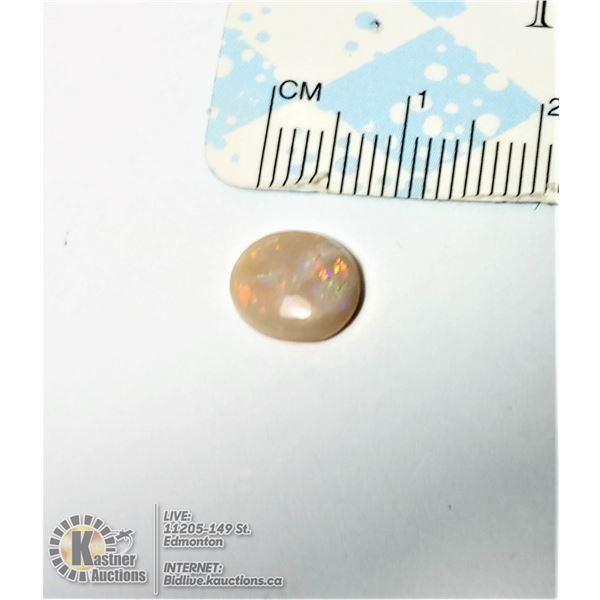 15)  NATURAL 1.5 CT OVAL AUSTRALIAN FIRE OPAL