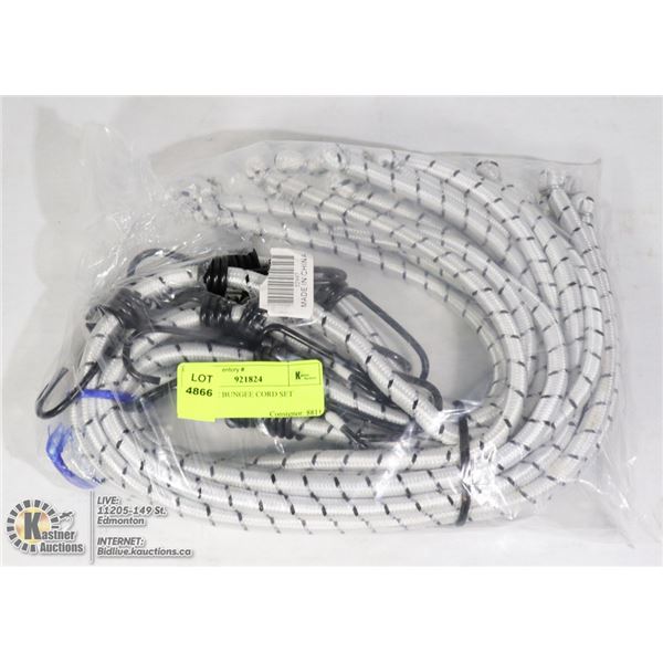 NEW 10PC BUNGEE CORD SET