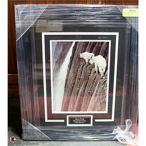 "SHEER DROP" MOUNTAIN GOAT BY ROBERT BATEMAN