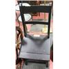 Image 1 : DUCKS UNLIMITED LIBRARY LADDER CHAIR