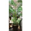 Image 1 : 6FT ARTIFICIAL PLANT