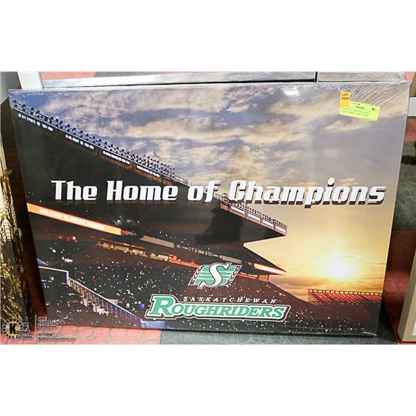 SASK ROUGHRIDERS CANVAS LIGHTED WALL ART 20"X28"