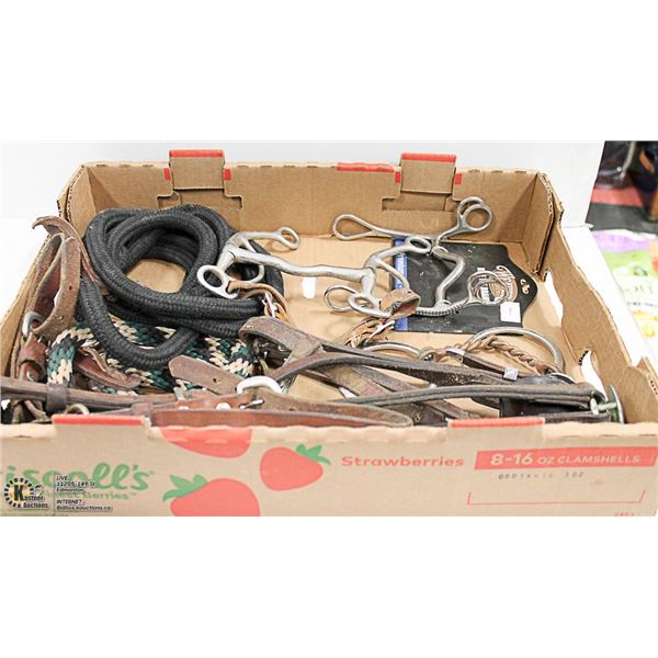 FLAT OF HORSE BITS AND TACK