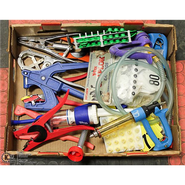 FLAT OF CATTLE FARMING VETERINARIAN TOOLS