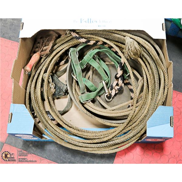 LARGE BOX OF EQUESTRIAN SUPPLIES AND ROPE -