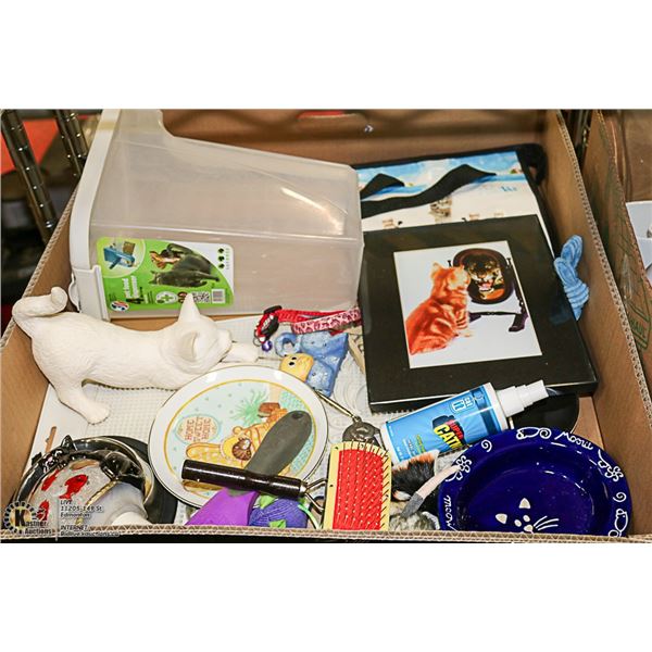 LARGE FLAT WITH CAT SUPPLIES AND CAT DECOR