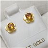 Image 1 : 10K YELLOW GOLD CITRINE EARRINGS