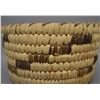 Image 7 : NATIVE AMERICAN PAPAGO BASKETRY BOWL