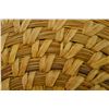 Image 7 : NATIVE AMERICAN PAPAGO BASKETRY TRAY