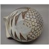 Image 6 : NATIVE AMERICAN ACOMA POTTERY CHICKEN