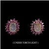 Image 1 : Untreated White Opal & Ruby Earrings