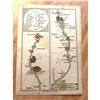 Image 1 : Rare Late 1700's English Road Maps, Lewisham To Turnbridge Wells
