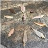 Image 1 : Group of Neolithic Sahara Desert Arrowheads, Points