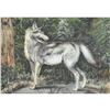 Image 1 : 1920's Gray Wolf Color Lithograph Print
