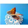 Image 6 : Vintage Hand-painted Hungarian DRASCHE Porcelain Butterfly