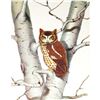 Image 1 : 1950 Menaboni Print, Screech Owl