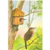 Image 1 : 1920's Wren Color Lithograph Print