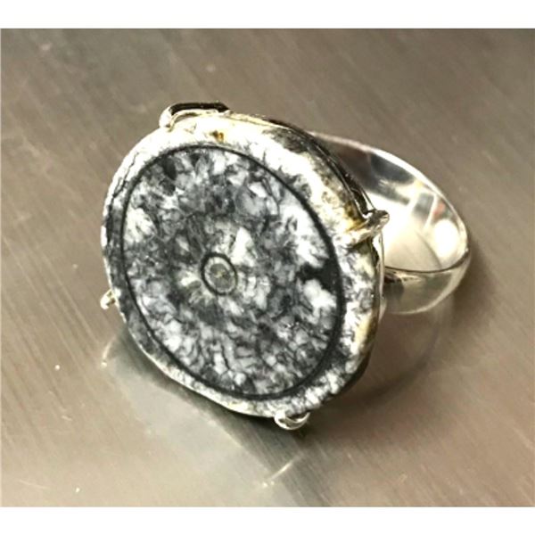 Prehistoric Black Horn Coral Slab Sterling Silver Ring