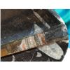 Image 2 : Prehistoric Orthoceras & Ammonite Fossils Hand-carved Tray