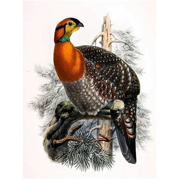 Pheasant Bird Ceramic Tile