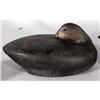 Image 2 : GROUP OF 6 DUCK DECOYS, early 20th century, C