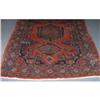 Image 1 : PERSIAN VIS CARPET, 5'5"x7'1"