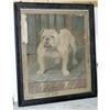 Image 1 : ORIGINAL ILLUSTRATION ART, Bull Dog, signed l