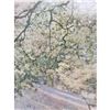 Image 1 : Signed Plastic Ono Band Album Cover